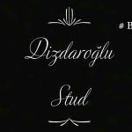 Dizdaroglu Ekürisi
